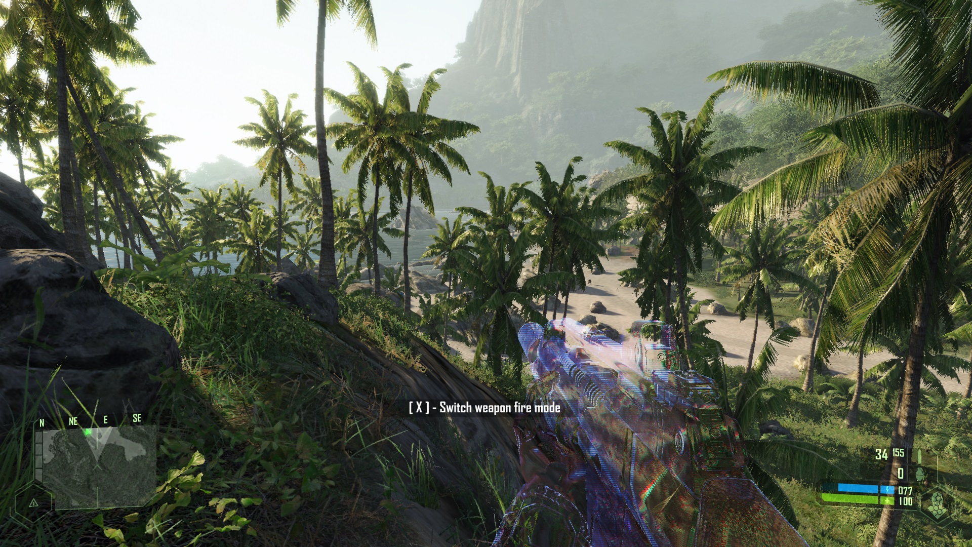 Crysis Screenshot 1